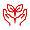 plant plant