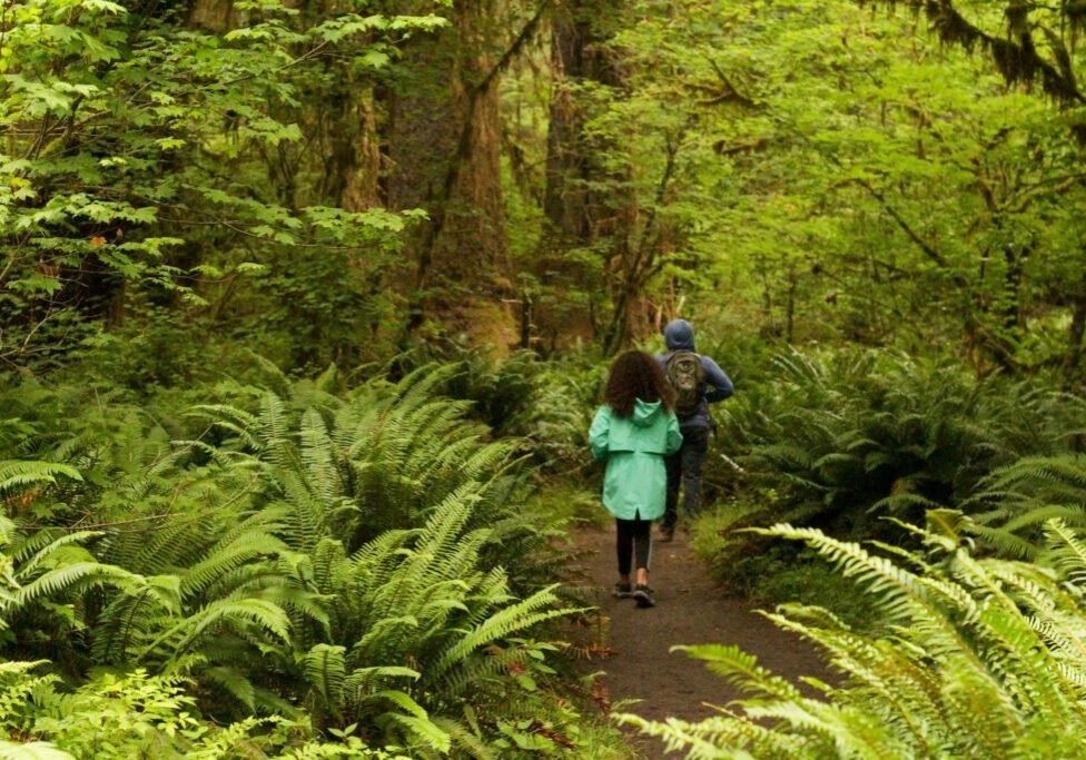 This <a href="https://www.pexels.com/photo/two-people-on-the-footpath-in-a-forest-6856596/">Photo</a> was taken by <a href="https://www.pexels.com/@hannah-spooner-28487617">Hannah Spooner</a> on Pexels.