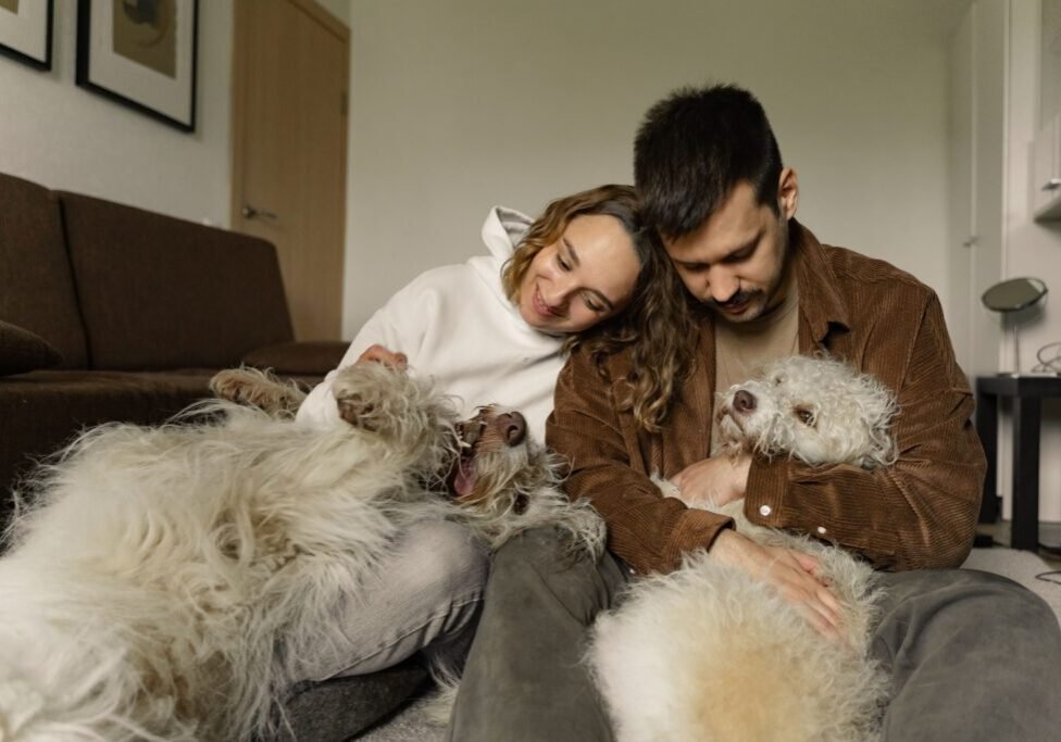 This <a href="https://www.pexels.com/photo/a-couple-sitting-on-the-floor-and-playing-with-their-dogs-8498841/">Photo</a> was taken by <a href="https://www.pexels.com/@yaroslav-shuraev">Yaroslav Shuraev</a> on Pexels.